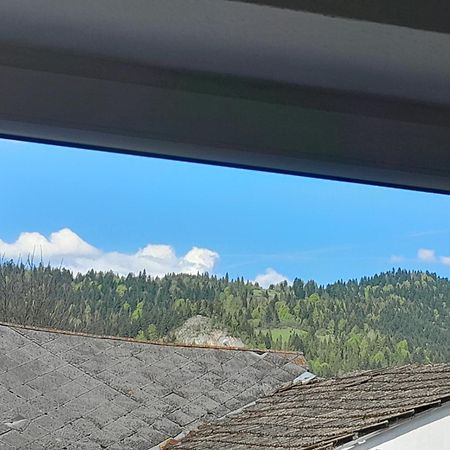 Apartamenty W Pieninach - 2 Sypialnie Sromowce Wyzne Luaran gambar